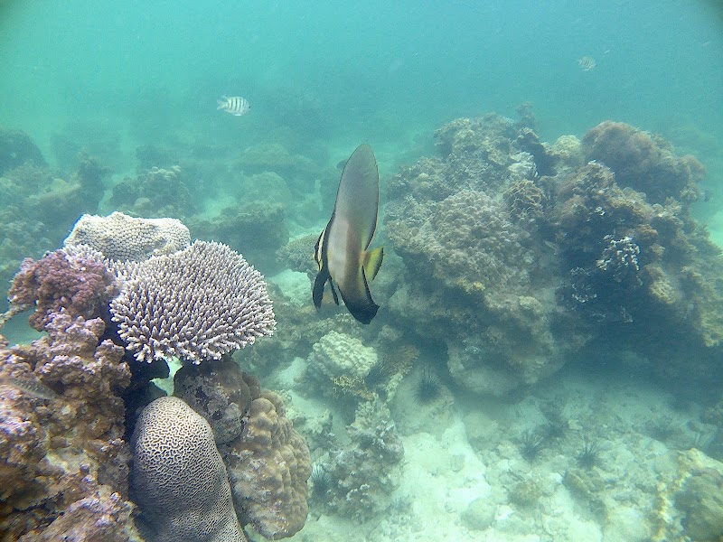 Coastal Charm of Batam - Batam