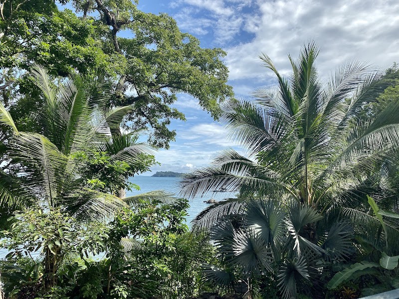 Serenity and Adventure at Isla Palenque - Isla Palenque