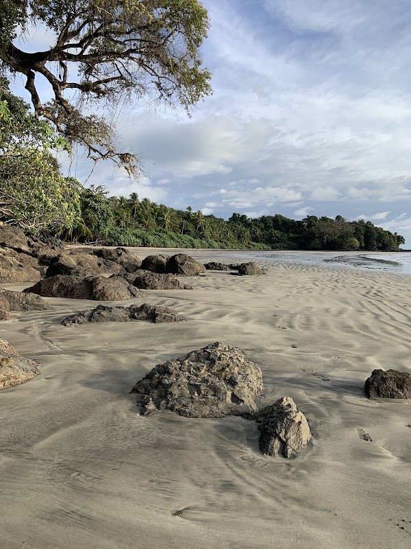 Serenity and Adventure at Isla Palenque - Isla Palenque