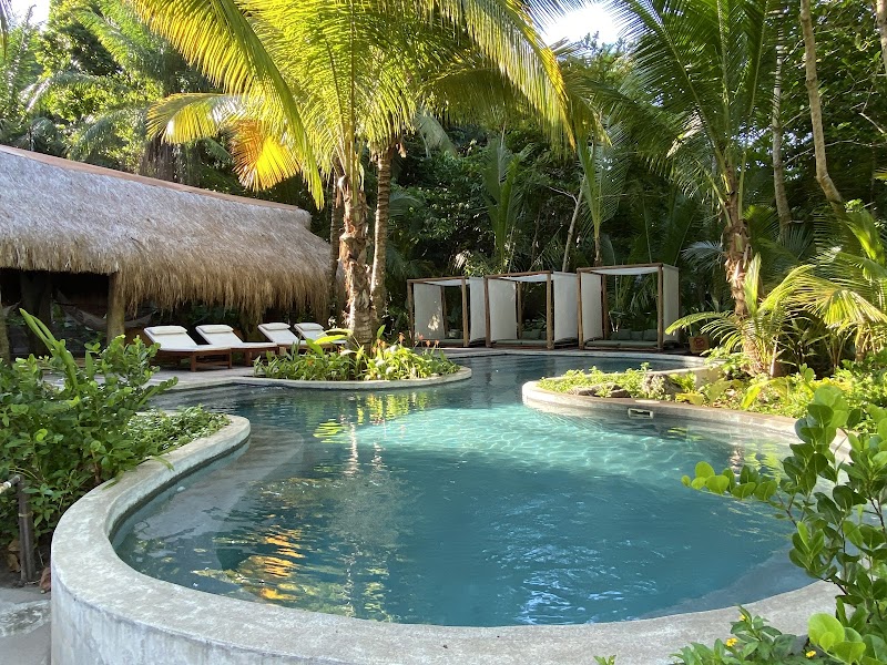 Island Escape to Isla Palenque - Isla Palenque