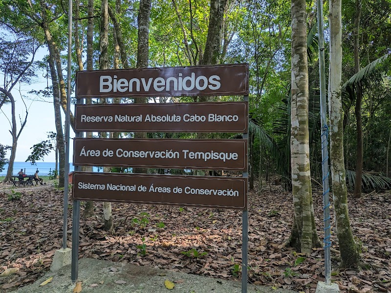 Discover Costa Rica's Coastal Gem: Reserva Natural Cabo Blanco - Reserva Natural Cabo Blanco