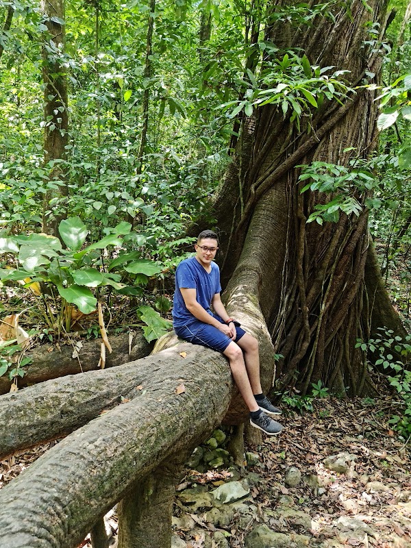 Discover Costa Rica's Coastal Gem: Reserva Natural Cabo Blanco - Reserva Natural Cabo Blanco