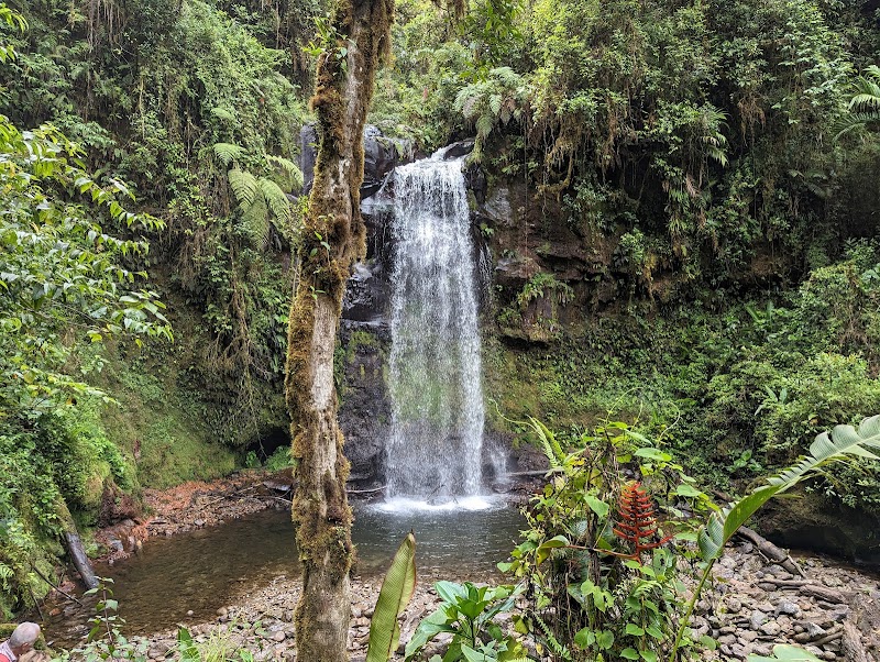 Discover the Charm of Las Tres Cascadas, Chiriquí - Las Tres Cascadas