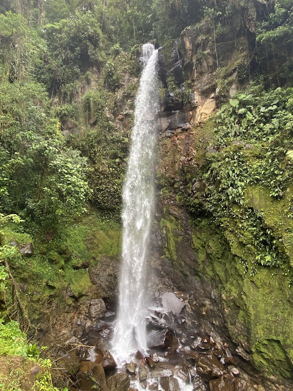 Discover the Charm of Las Tres Cascadas, Chiriquí - Las Tres Cascadas