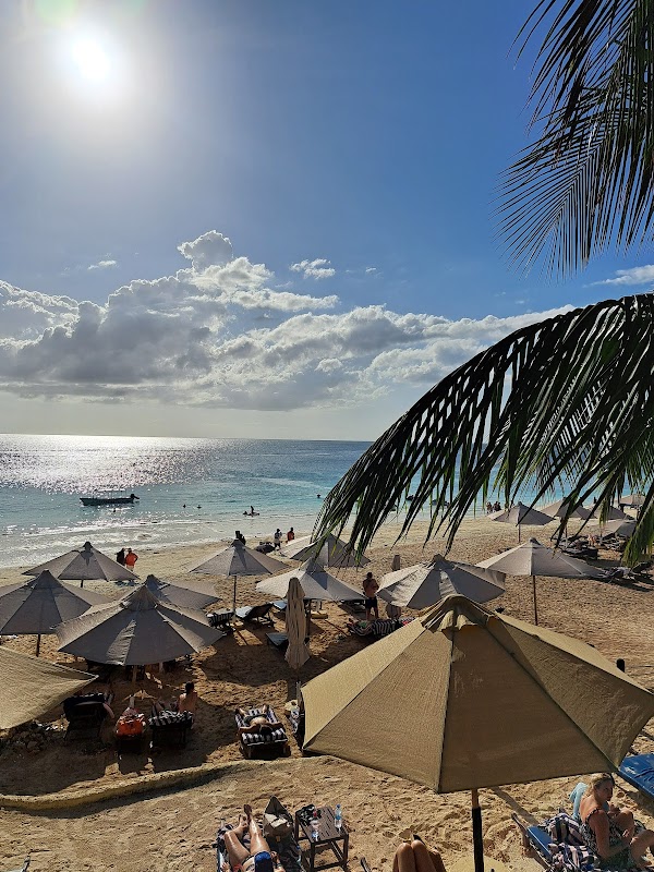 Wildlife Expedition: Dar es Salaam’s Natural Haven - Natures Cradle Holidays and Safaris Limited