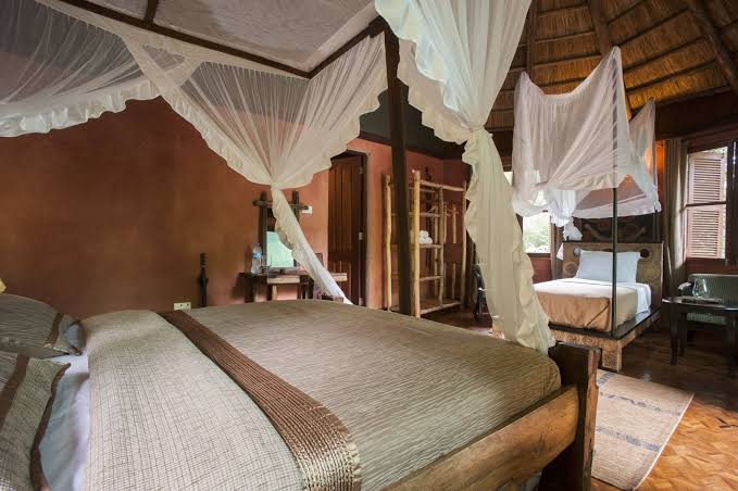 Relaxation and Adventure at Selous Mapumziko Lodge - Selous Mapumziko Lodge
