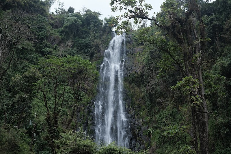 Charming Cascade: Materuni Waterfall - materunidaytriptour
