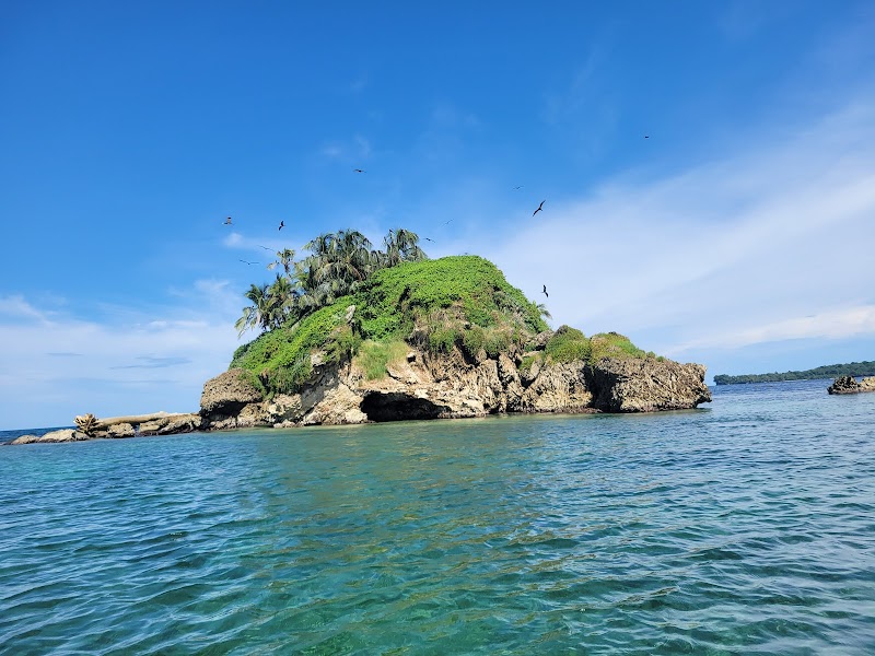 Bird Island: A Natural Treasure in Bocas del Toro - Bird Island