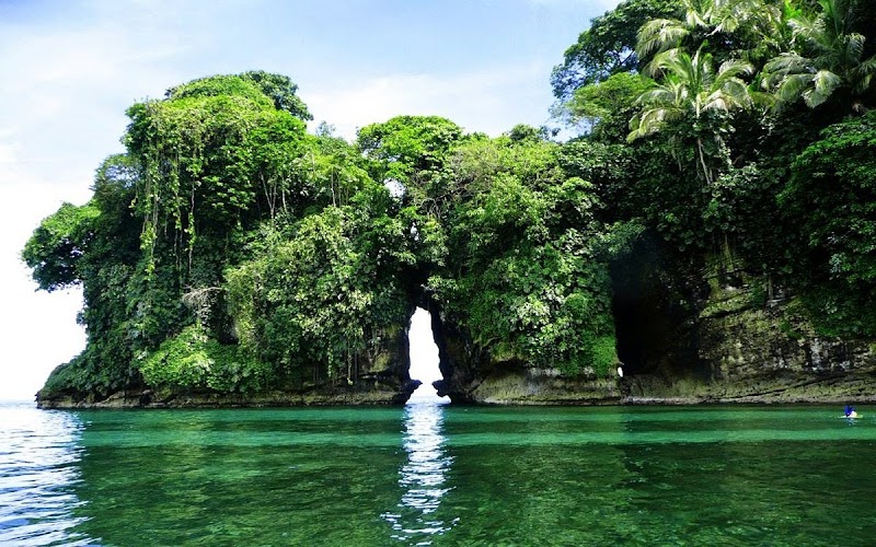 Bird Island: A Natural Treasure in Bocas del Toro - Bird Island