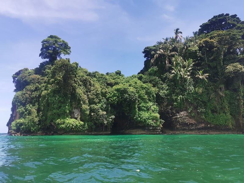 Bird Island: A Natural Treasure in Bocas del Toro - Bird Island