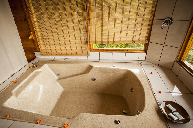 Nature's Haven at Paraiso Quetzal Lodge - Paraiso Quetzal Lodge