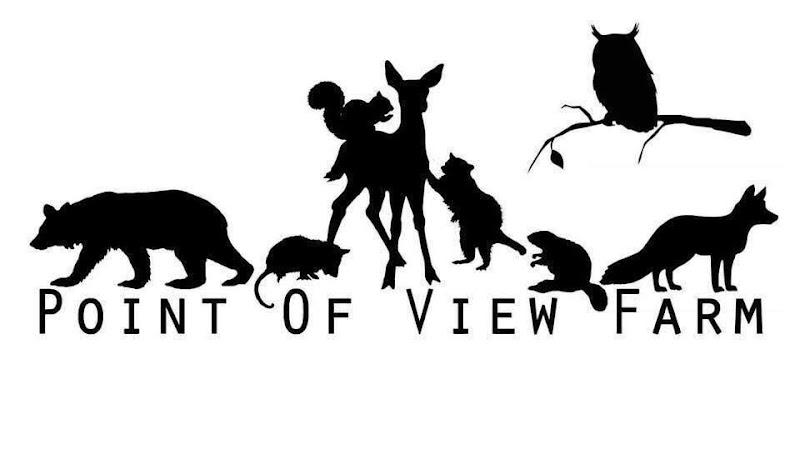 Wildlife Wonders: Saving WV Wildlife in Gandeeville - Saving WV Wildlife (SWVWL)