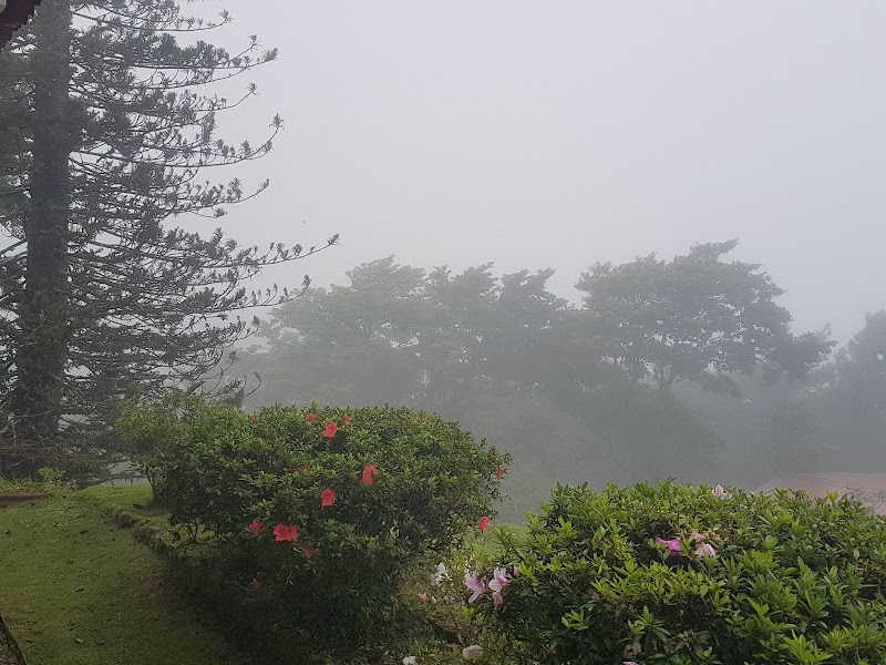 Majestic Adventures at Cerro Jefe - Paseo al Cerro Jefe