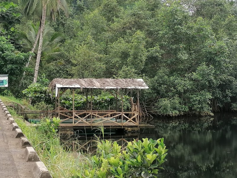 Tranquil Retreat at Sao Tome Island: A Natural Paradise - Sao Tome Island