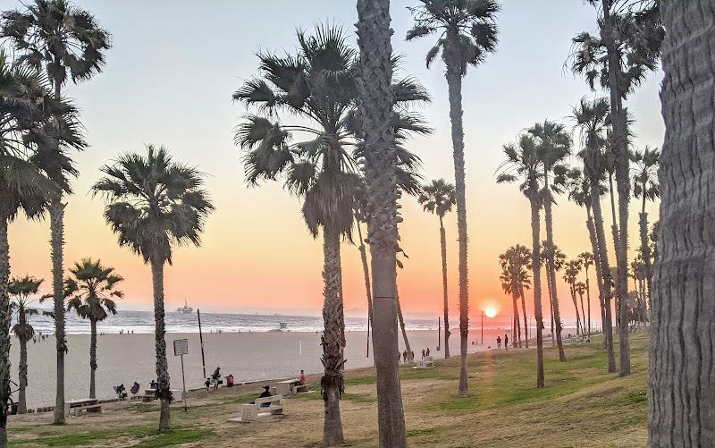 Sunshine and Surf at Huntington Beach - Huntington Beach