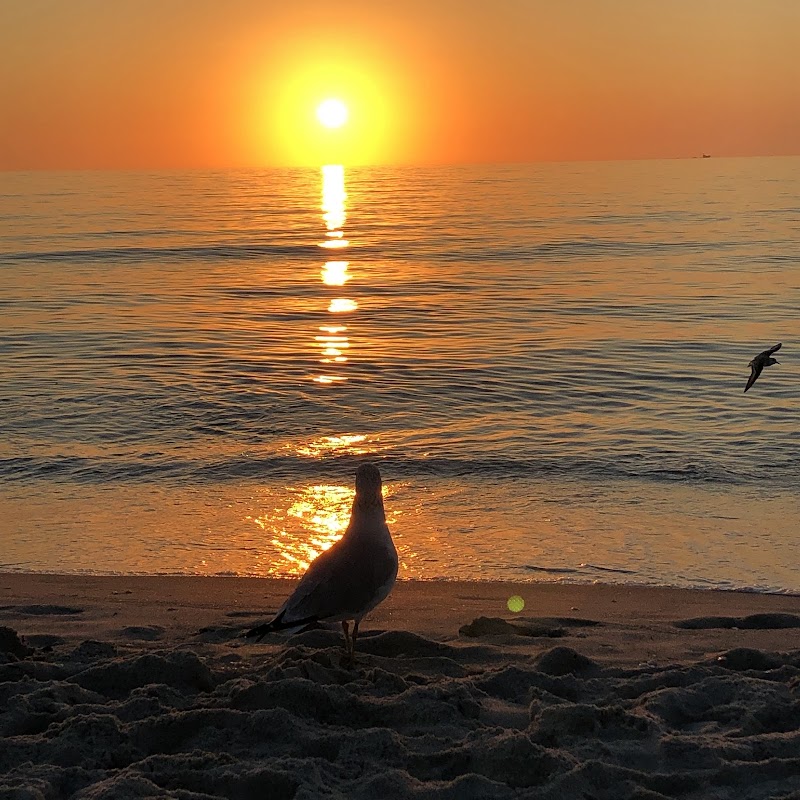 Beachfront Paradise: Captiva Island outdoor detail