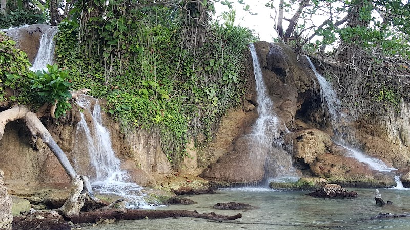 Waterfall Adventures at Little Dunn's River Beach - Little Dunn's River Beach