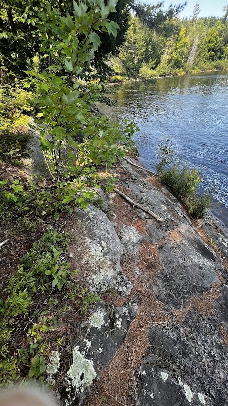Nature's Gem: Lower Falls of Moody surrounding landscape