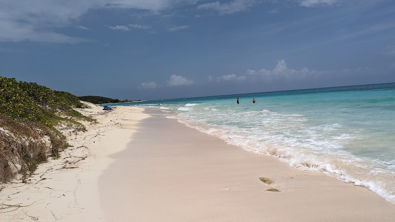 Serene Shores of Duncan Bay Beach - Duncan Bay Beach