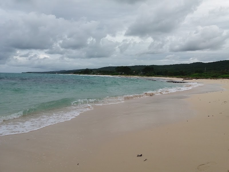 Serene Shores of Duncan Bay Beach - Duncan Bay Beach