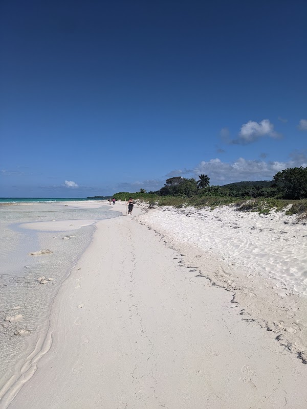 Serene Shores of Duncan Bay Beach - Duncan Bay Beach
