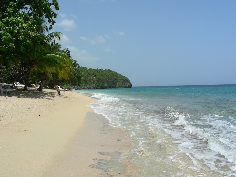 Tropical Bliss at Reggae Beach, Jamaica - Reggae Beach