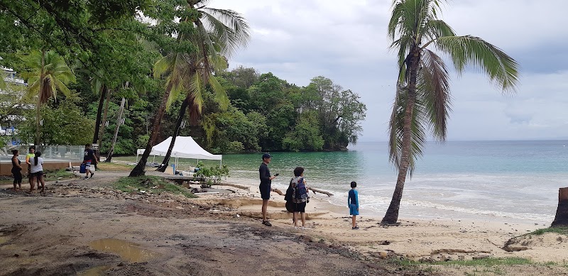 Tropical Paradise: Contadora Island - Contadora Island