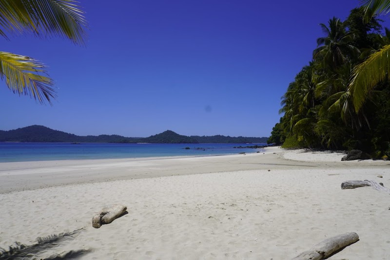 Discover Coiba Island: A Tropical Paradise - Coiba Island