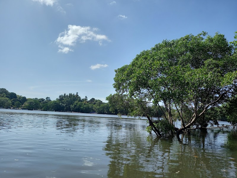 Nature's Haven: Cañas Island - Cañas Island