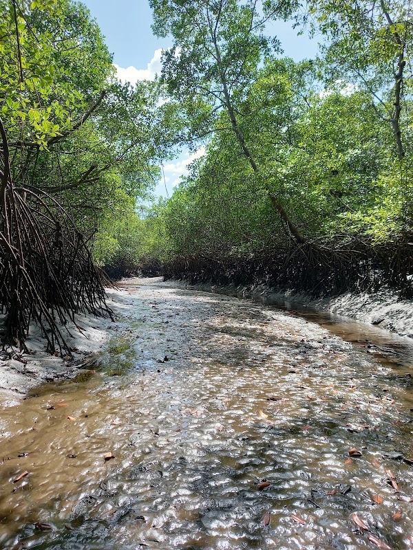 Nature's Haven: Cañas Island - Cañas Island