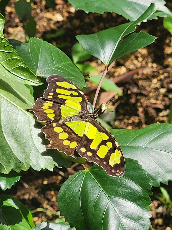 Discover the Wild Wonders at Shipstern Conservation & Management Area - Shipstern Conservation & Management Area