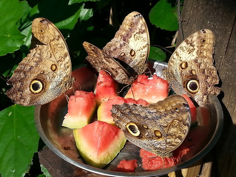 Discover the Wild Wonders at Shipstern Conservation & Management Area - Shipstern Conservation & Management Area