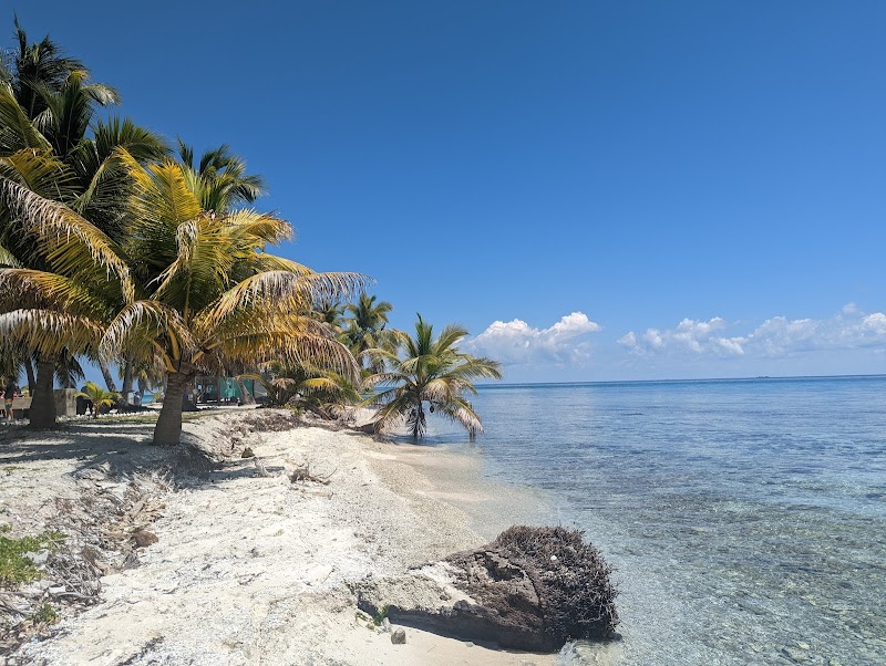 Tropical Paradise: Laughing Bird Caye - Laughing Bird Caye