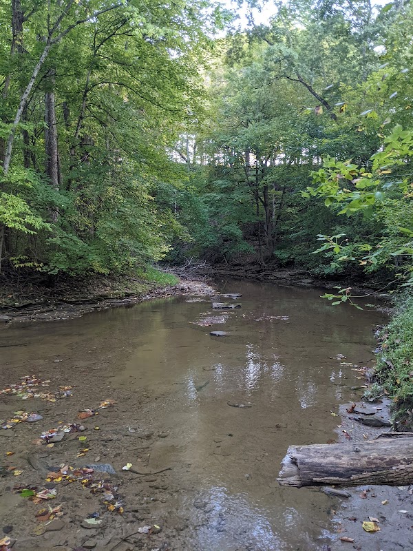 Nature's Retreat: Lobdell Reserve - Lobdell Reserve
