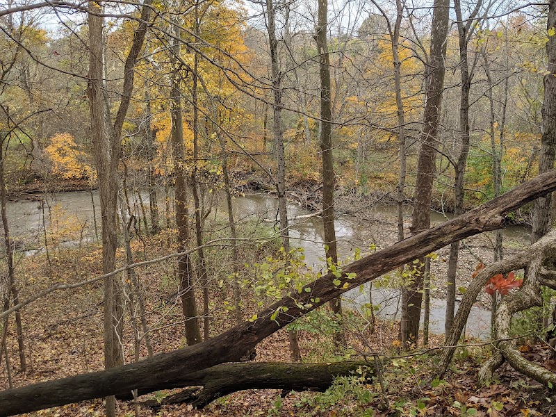 Nature's Retreat: Lobdell Reserve surrounding landscape