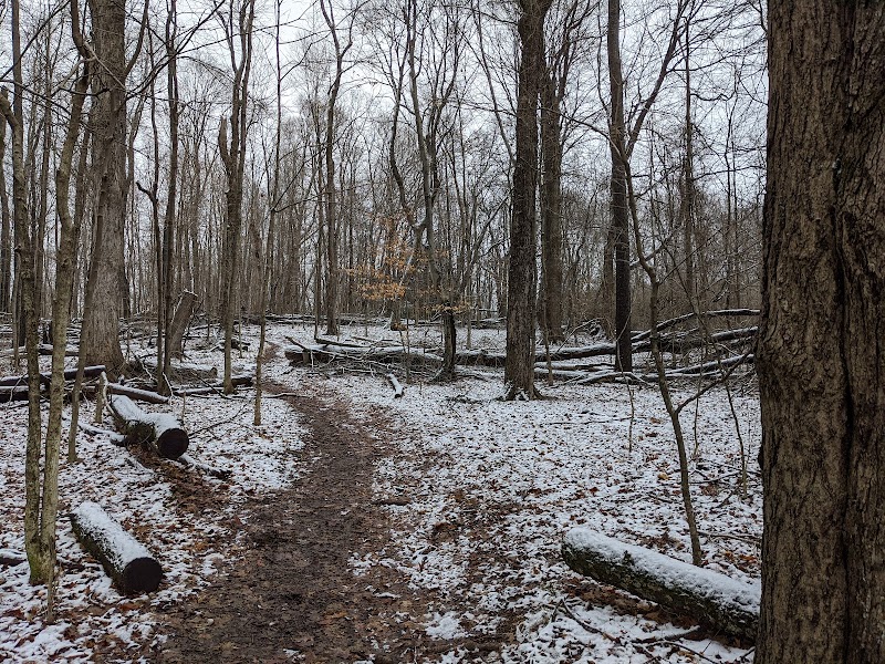 Discover Natural Beauty at Denison Biological Reserve, Granville outdoor detail