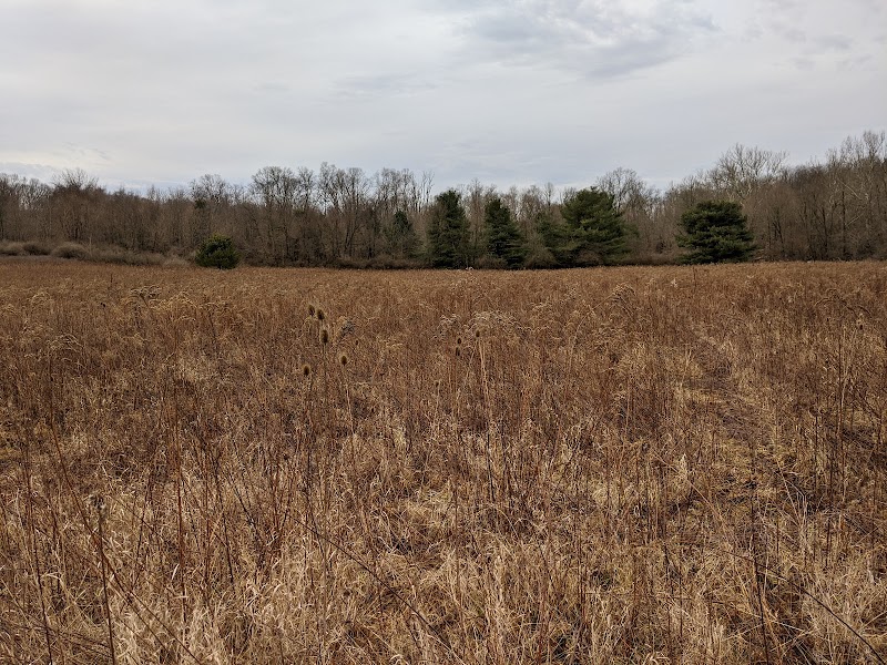 Discover Natural Beauty at Denison Biological Reserve, Granville surrounding landscape
