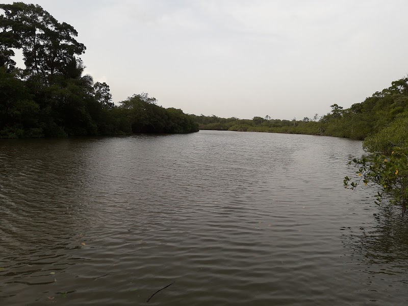 Picturesque Adventure at Sarstoon River - Sarstoon River