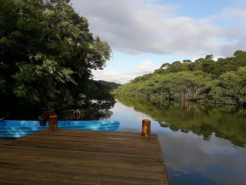 Picturesque Adventure at Sarstoon River - Sarstoon River
