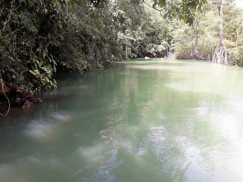 Picturesque Adventure at Sarstoon River - Sarstoon River