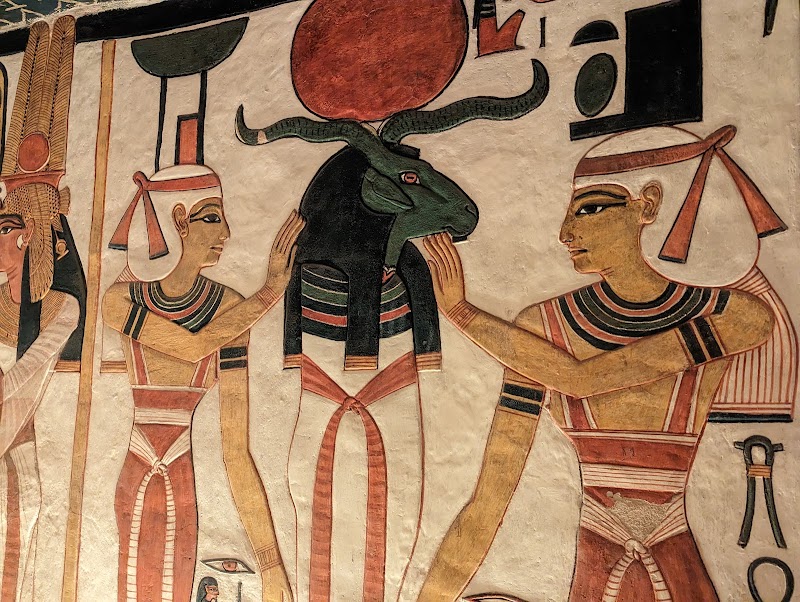 Thumbnail 8