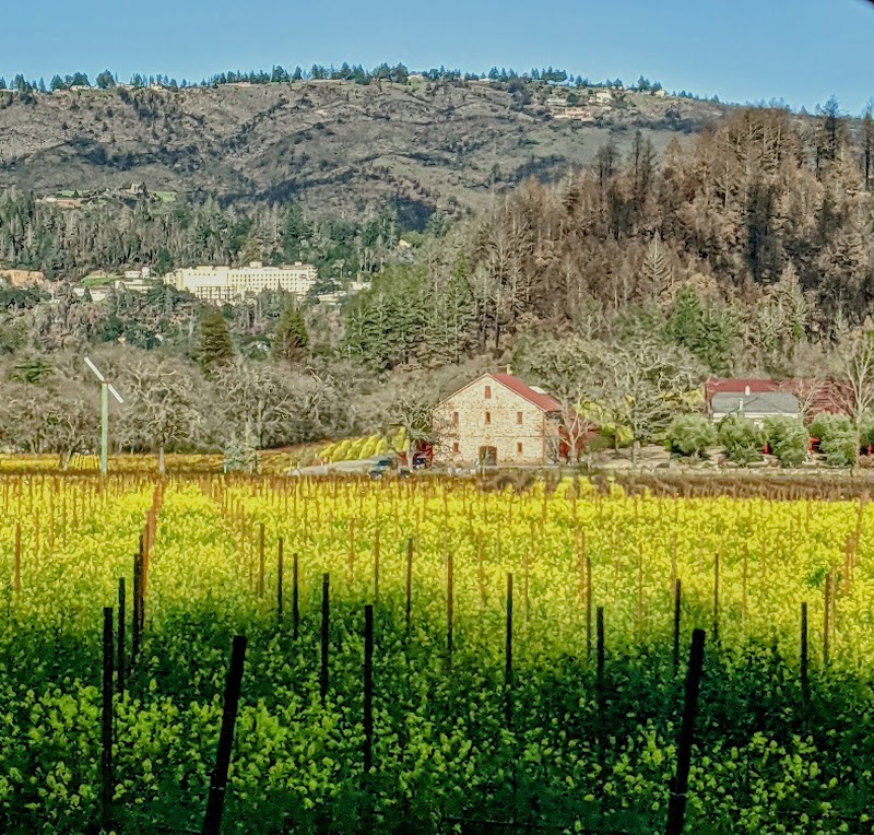 Vineyards & Vistas: Napa Valley, CA - Napa Valley