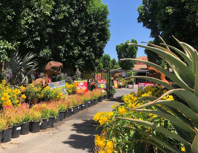 Botanical Wonders at Moon Valley Nurseries - Moon Valley Nurseries