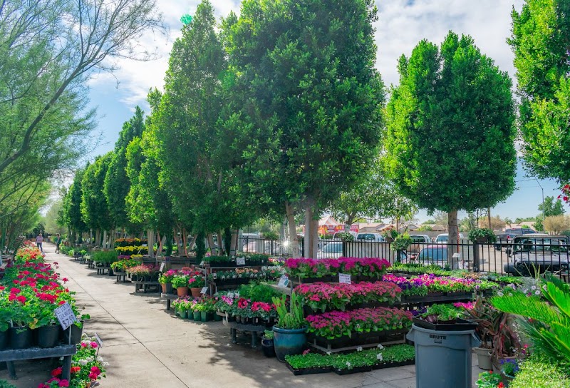 Botanical Wonders at Moon Valley Nurseries surrounding landscape