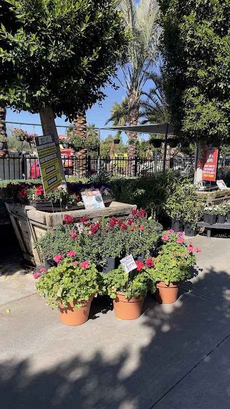 Botanical Wonders at Moon Valley Nurseries - Moon Valley Nurseries