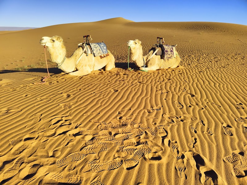 Sahara Wonders: Marvel of the Sand Seas - sahara wonders