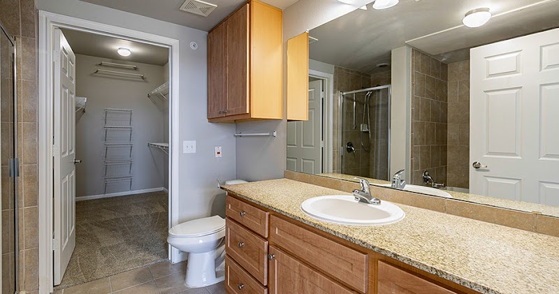 The Grand Parkway Apartments in Katy: A Suburban Oasis surrounding landscape