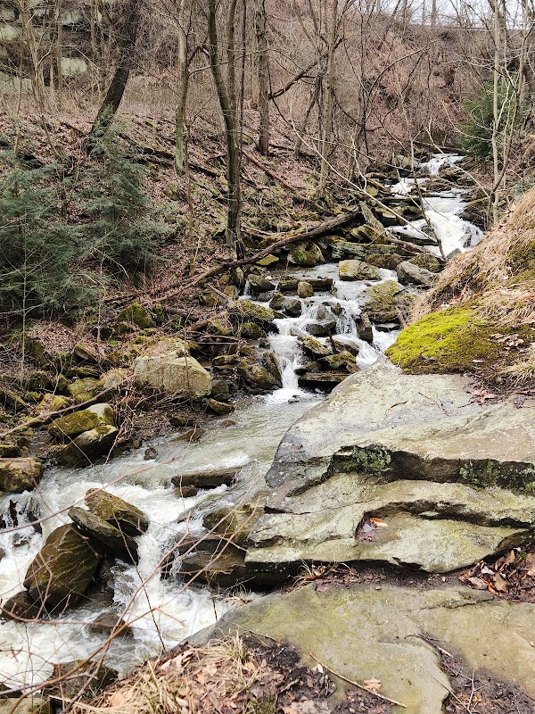 Waterfall Wonders at Buttermilk Falls Natural Area outdoor detail
