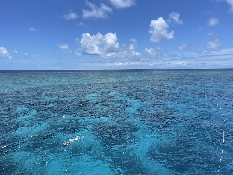Splash and Dive: Down Under Cruise and Dive - Down Under Cruise and Dive