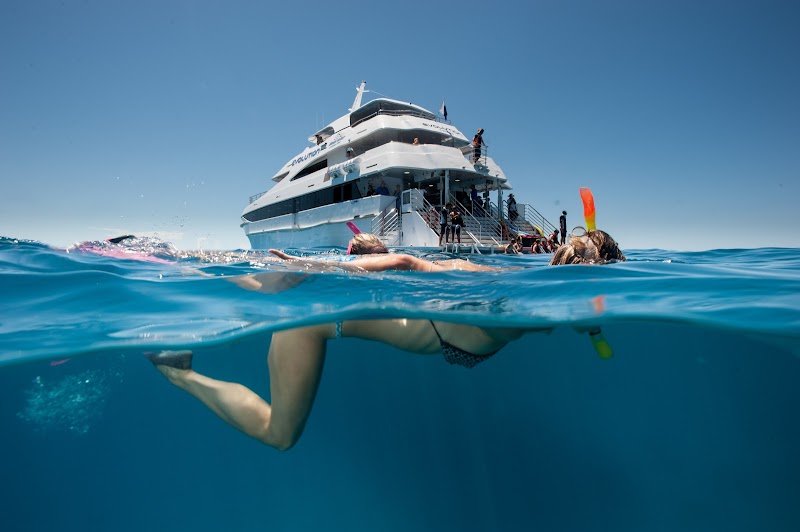 Splash and Dive: Down Under Cruise and Dive - Down Under Cruise and Dive